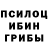 Псилоцибиновые грибы прущие грибы Vladislav 09