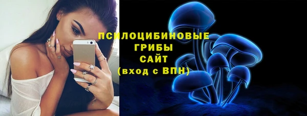 бутират Горнозаводск