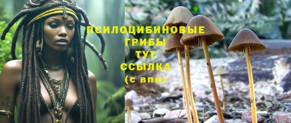 каннабис Горно-Алтайск
