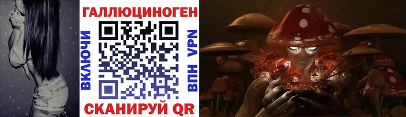 ОМГ ОМГ   Дятьково  Галлюциногенные грибы мухоморы  купить закладку 